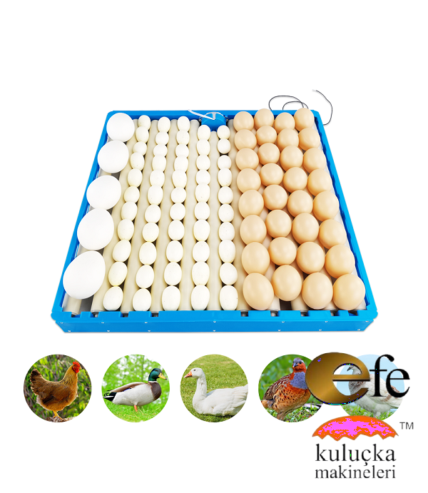 Otomatik Yumurta Çevirme Sistemi