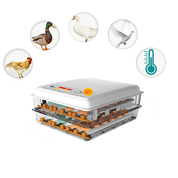 Kaz Kuluçka Makinesi