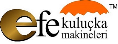 KULUÇKA FAN ÇEŞİTLERİ